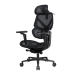 THUNDERX3 Flex Pro Ergonomic Chair Mesh Black TEGC-3076101.12