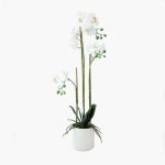 76CM Ribbed Pot Orchid