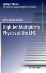 High Jet Multiplicity Physics At The Lhc Hardcover 1st Ed. 2017