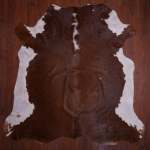 Aa Grade Nguni Hide 584 Brown white L - Large Brown white Panelled