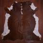 Aa Grade Nguni Hide 584 Brown/white L - Large / Brown/white / Panelled