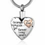 Rimzviux Heart Urn Necklaces For Ashes Cremation Jewelry For Human Ashes Necklace Dad No Longer By My Side Forever In My Heart
