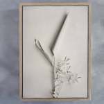 Alabaster Forest 3 Art Print - A2 Framed Canvas With Natural Wood Frame