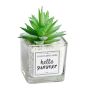 Clear Glass Square Shaped Artificial Succulent Planter - White & Green