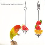 1PC 304 Stainless Steel Bird Fruit Fork Parrot Feeding Stick With Hanging Hook Cage Accessory For Pet Birds Fits All Cage Types