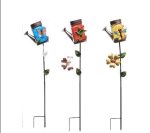 Zs - Star Shower Watering Can Fairytale - Hummingbird