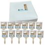 Rcm Paint Brush 100MM 12 Pack
