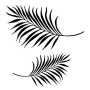 Black Palm Leaves - Reusable Peel And Stick