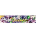 Puja Lavender Pack Of 6