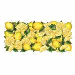 Vinyl Transfer Border Lemons