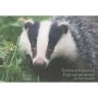 Woodland Wildlife Gift Card Pack   Cards