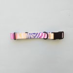 Dog Collar Wild Sunrise - Medium