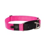 Rogz Utility Control Collar Web - XX Large Pink