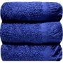 Fringe Guest Towel 30X50CM 3-PACK Estate Blue