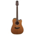 Takamine G Series GD20CE-NS Acoustic Guitar W Eq
