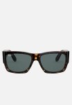 Wayfarer Nomad 54MM - Brown & Blue