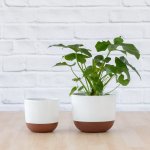 Pluto Planter - White - 13CM
