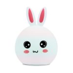 Colourful Silica Gel Lamp Rabbit