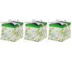 - Gift Box Flat-pack Large Gift Box - Pack Of 3 Green