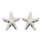 Silver Star Stud Earrings