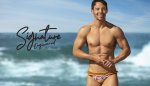 Signature Brief Candy Corn
