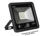Ellies 30W LED Flood Light in Black