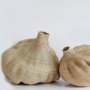 Bulawayo Garlic Gourd Basket