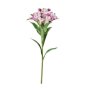 Single Peruvian Lily 20X20X80CM - Light Purple
