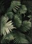 Framed Nordic 240G Quality Canvas Print - Green Serenity