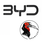 Byd Shark Front Blackout Badge Matte Black Grille Emblem