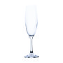 - Lara Crystal Champagne Flute 220ML - Set Of 6