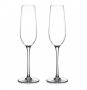 Elegant Champagne Flute Glass