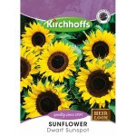 Kirchhoff’s Picture Packet Flower Seeds Sunflower Dwarf Sunspot