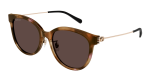 Gucci Sunglasses Womens In Havana Gold Brown GG1883SK-004 - Havana Onesize
