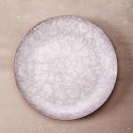 Marbled Dinner Plate Mushroom