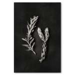 Monochrome Pins 2 Art Print - A2 No Frame Print Only