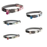 Rogz Cat Kitten Collar 8MM Glowcat – Assorted Colours