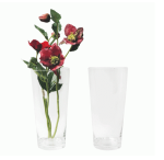 Conical Vase 25CM H X 12CM W