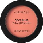 Catrice Soft Blur Powder Blush - Born To Blonze 1