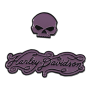 Harley-davidson 1.5 Inch Harley Curve Willie G Skull Metal Pin Set Gloss Finish