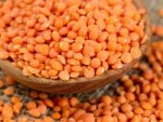 Red Lentils 1KG