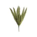 Grass Green Stem