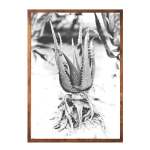 Beach Agave Art Print - Premium Stretched Canvas A1
