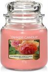 Candle Sun Drenched Apricot Medium Jar Retail Box No Warranty   Aroma Character: Fruityhead: Sun-warmed Apricot Nectarine Flower