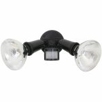 Eurolux Security Light For Par 38 – Black