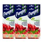 Pure Joy Cranberry Fruit Nectar Blend 6X200ML