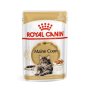 ROYAL CANIN Maine Coon Adult Cat Wet Food Pouch - Single Pouch