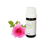 Escentia Rose Blend Essential Oil - 11ML