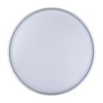 18W Ceiling Light Platinum Border