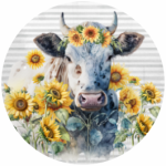 FSC1036 Salad Bowl Cover